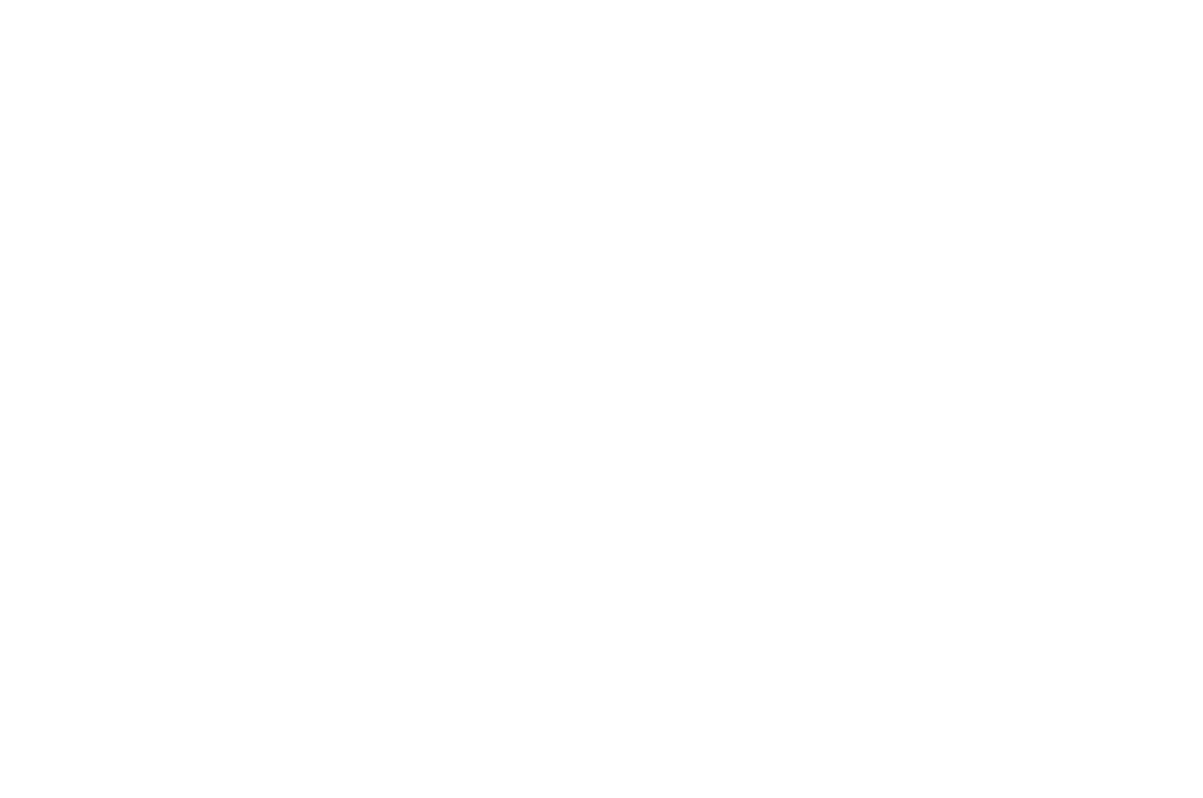 Festival International du Film de Menton