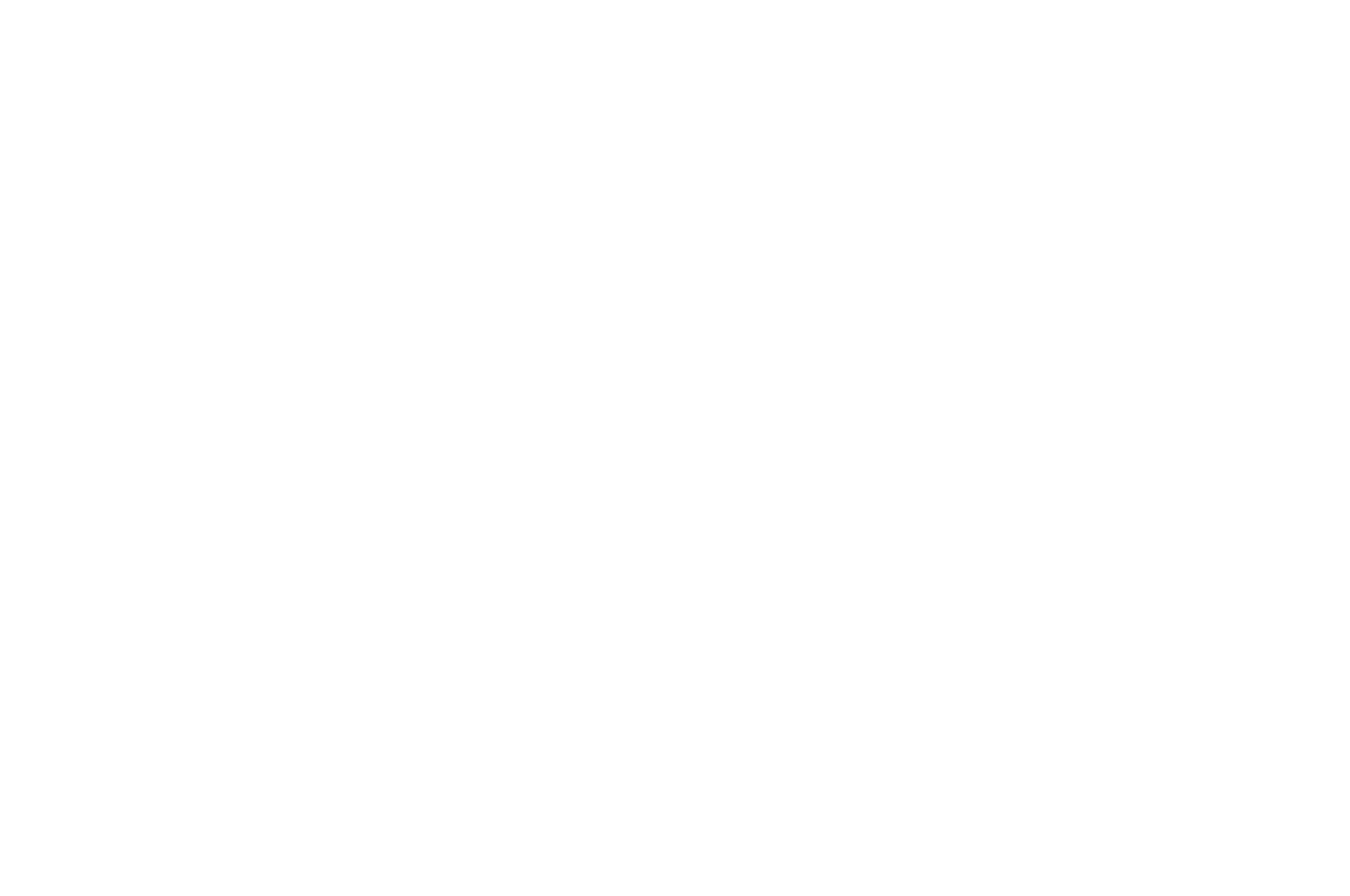 Minessota genre film expo